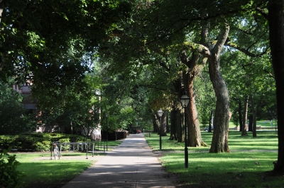 College Avenue Quad walkway