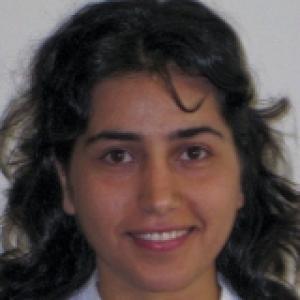 Derya Turk